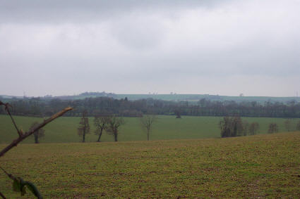 Fields near Enmore Castle