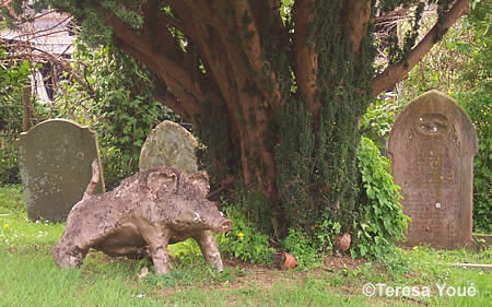 Statue of wild boar in St Deucman's churchyard